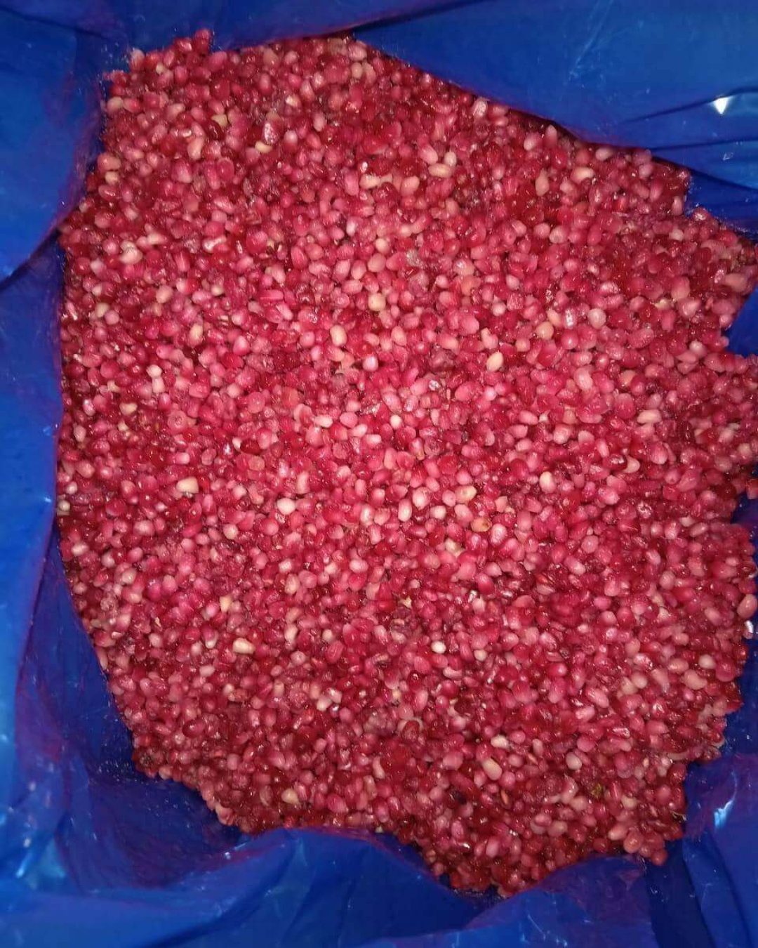 121561998_2554444338014013_3781413077321490909_o-1