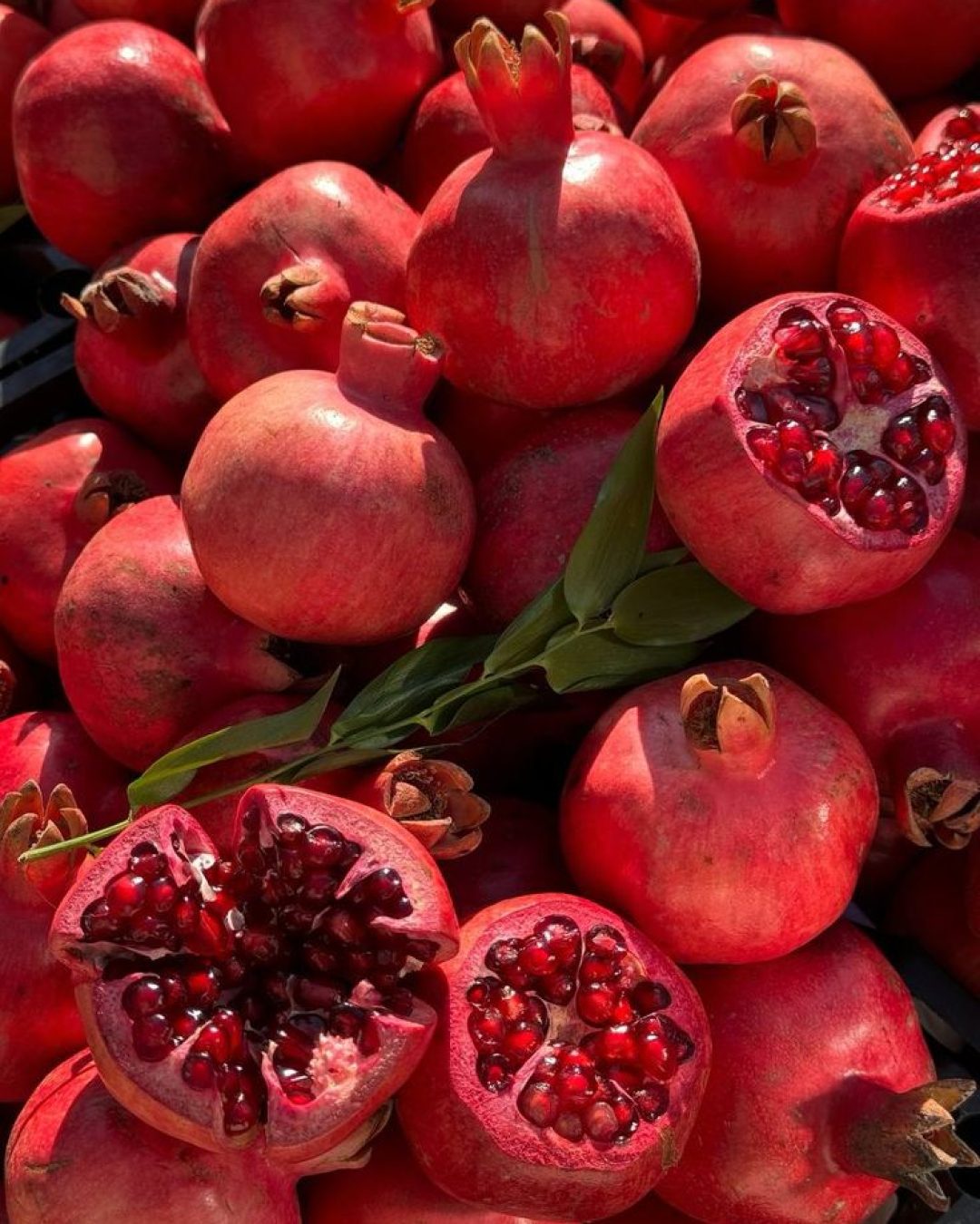 4f54bb5fc25407f626930f9663b814a4