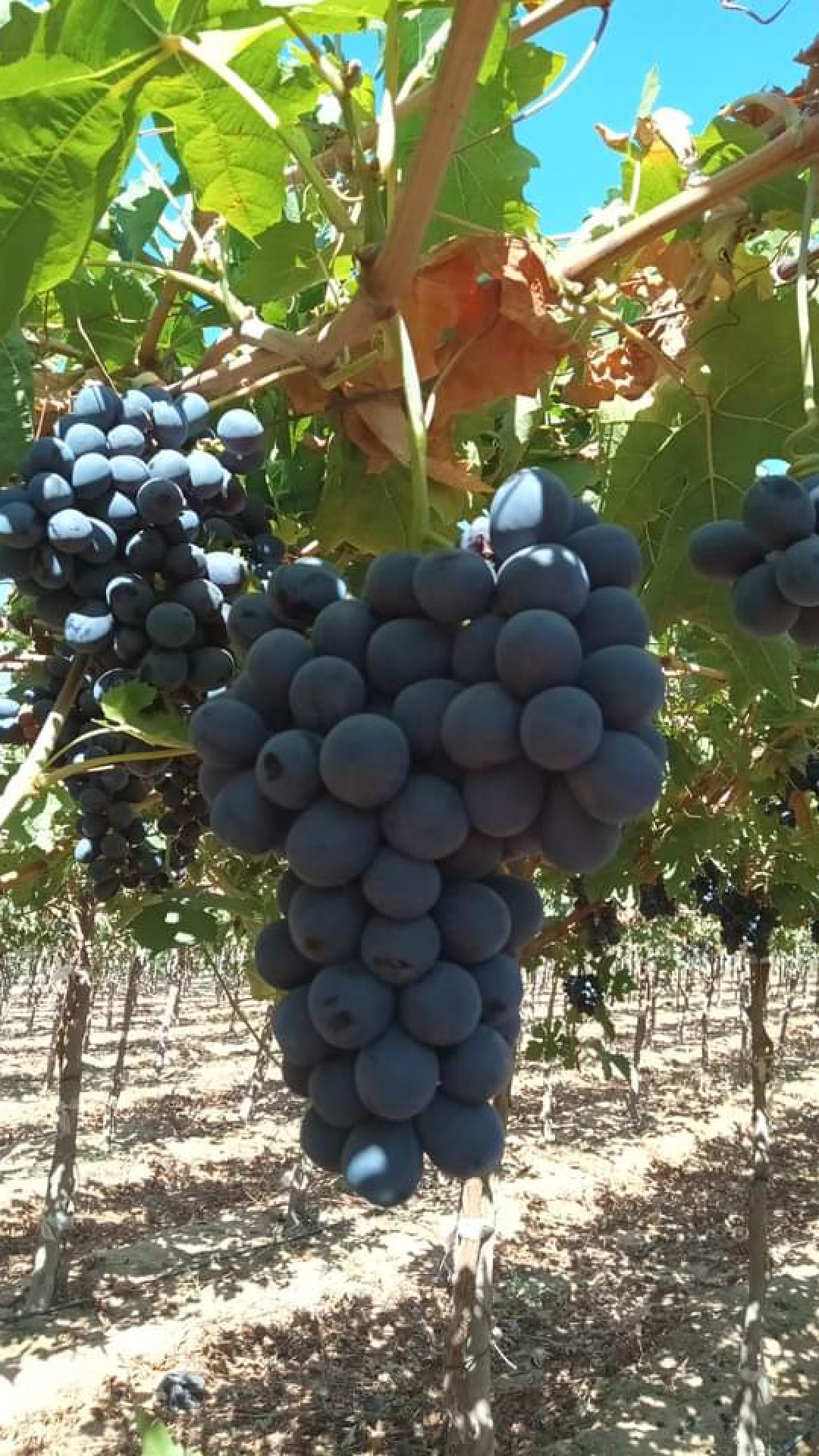 666992407648e