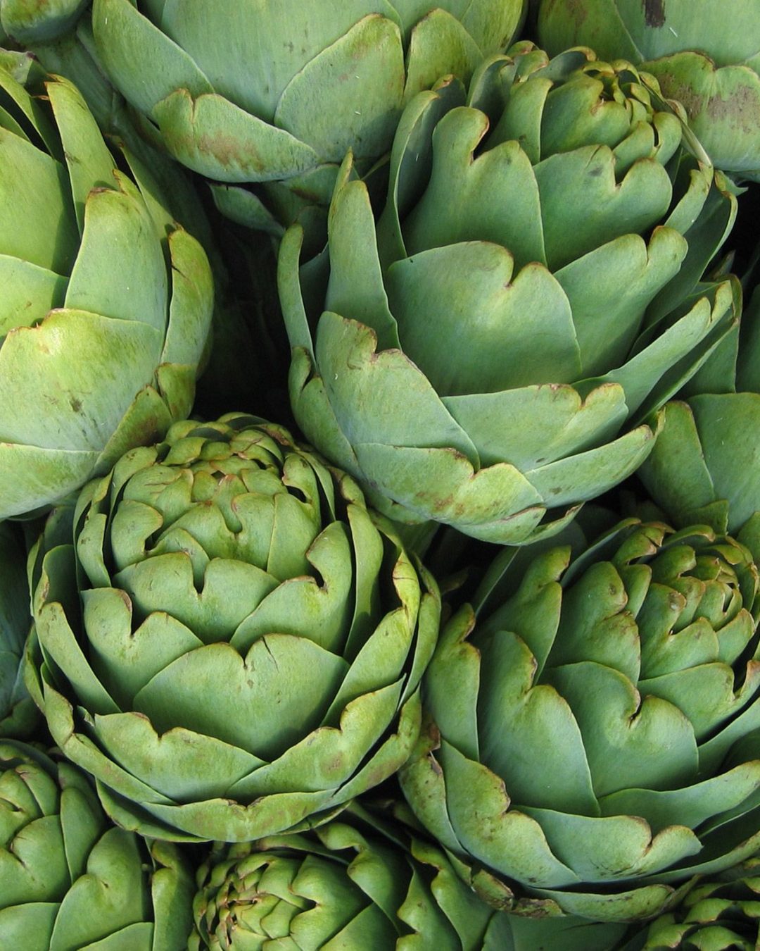 7ec28dc3299435d3653c0b55673098a9