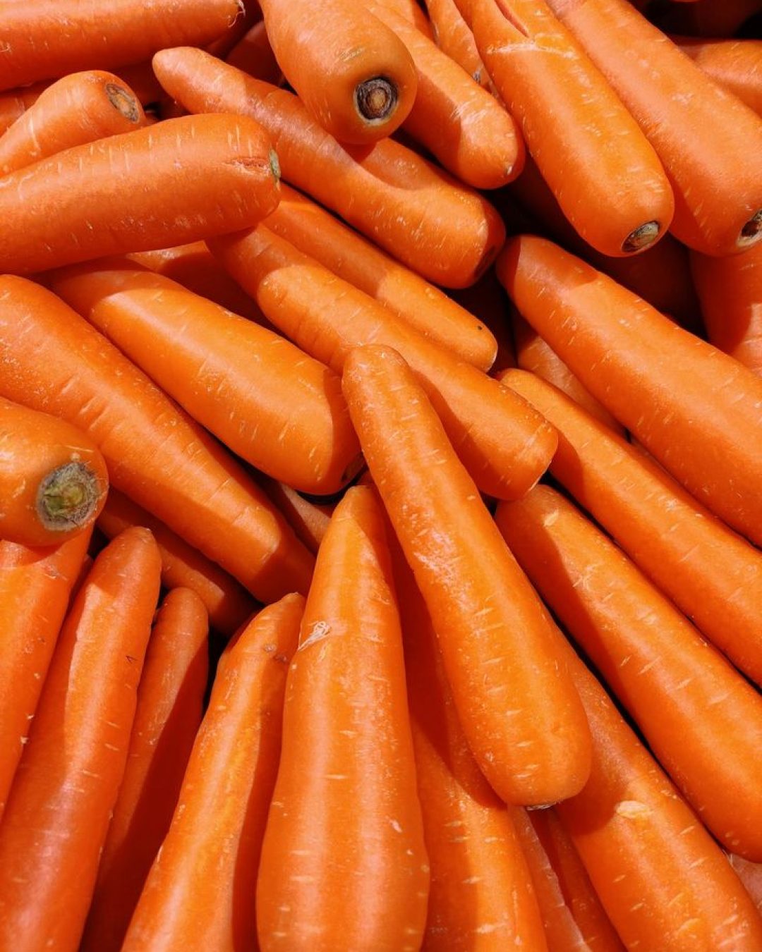 Benefits of Carrot_