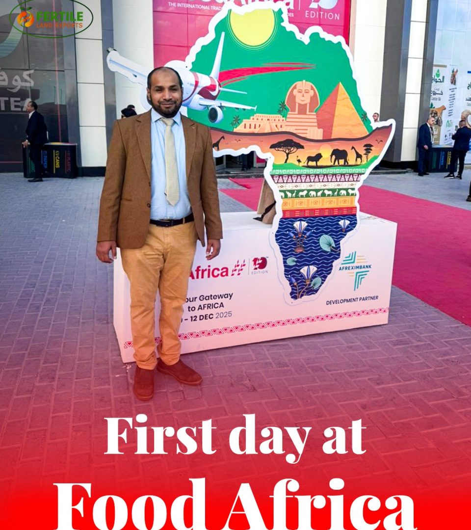 IMG-20251210-WA0005(1)