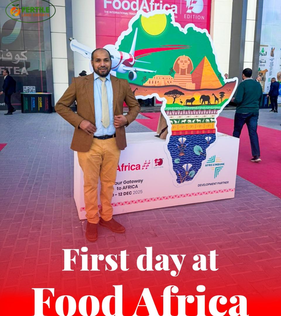 IMG-20251210-WA0008(1)